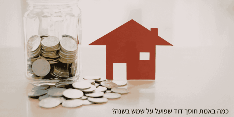 כמה באמת חוסך דוד שפועל על שמש בשנה